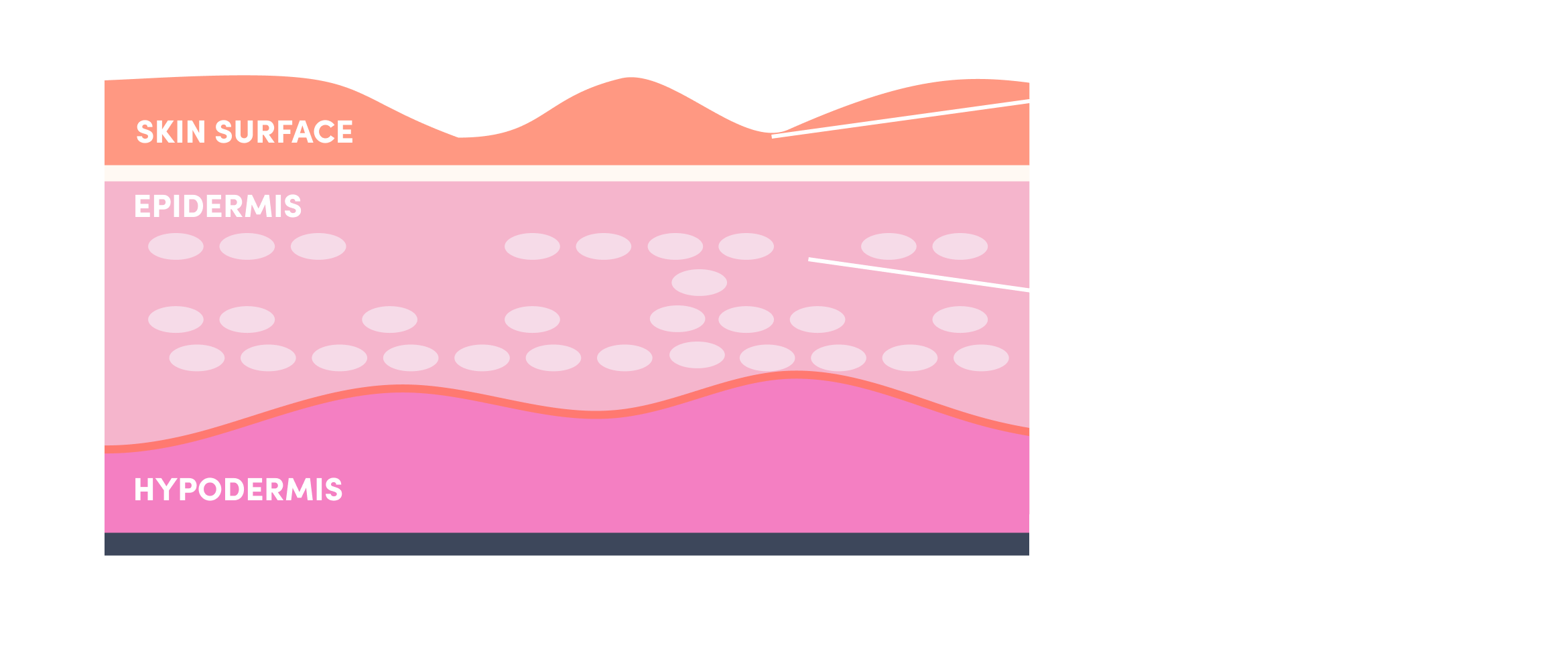 science collagen